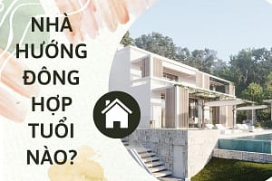nha-huong-dong-hop-voi-tuoi-nao-1